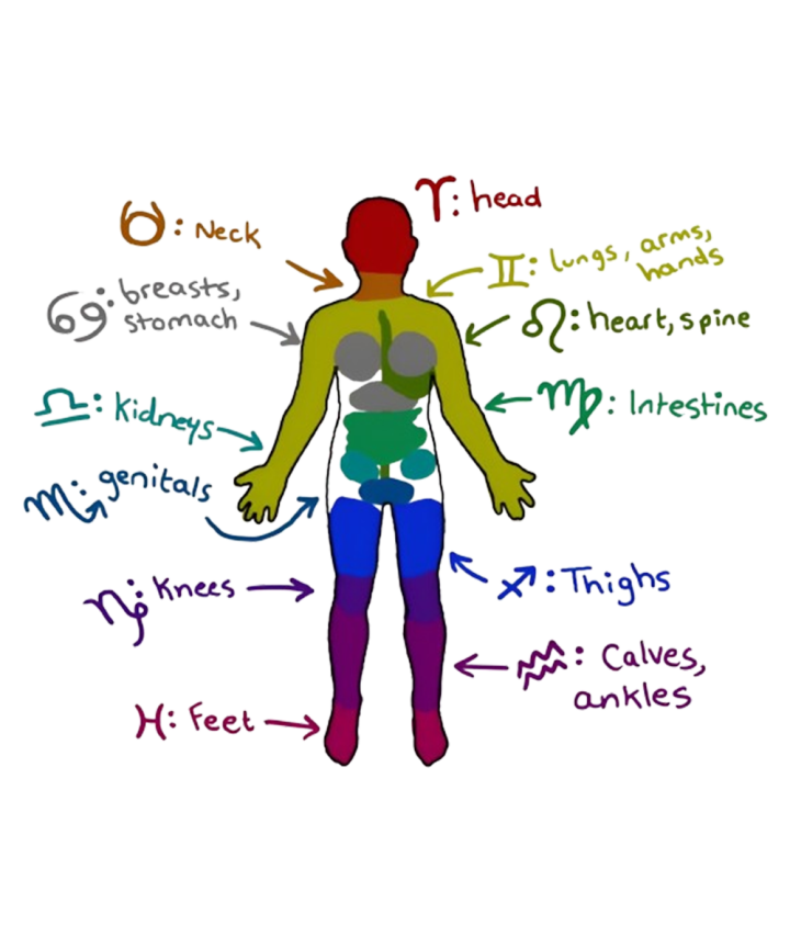 Body Astrology South Yarra